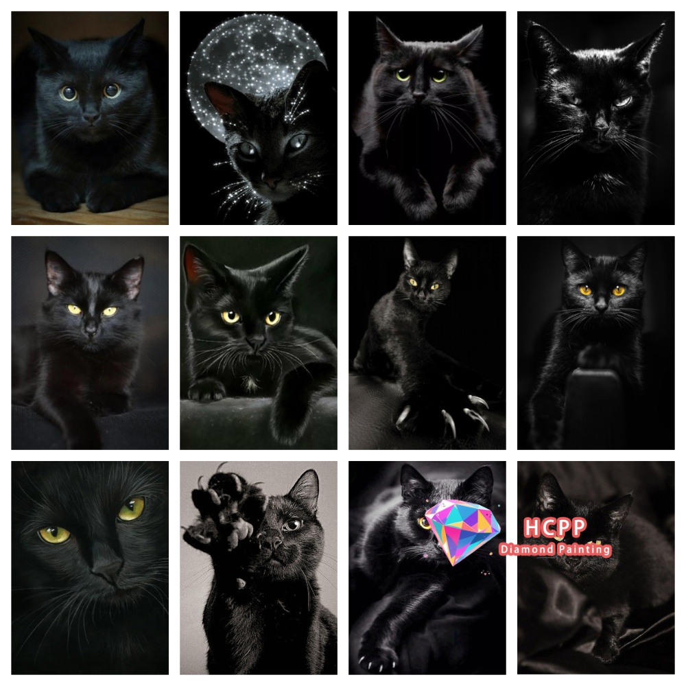 unframe Black Cat Animal Diamo - Art Craft Things 리뷰 및 가격