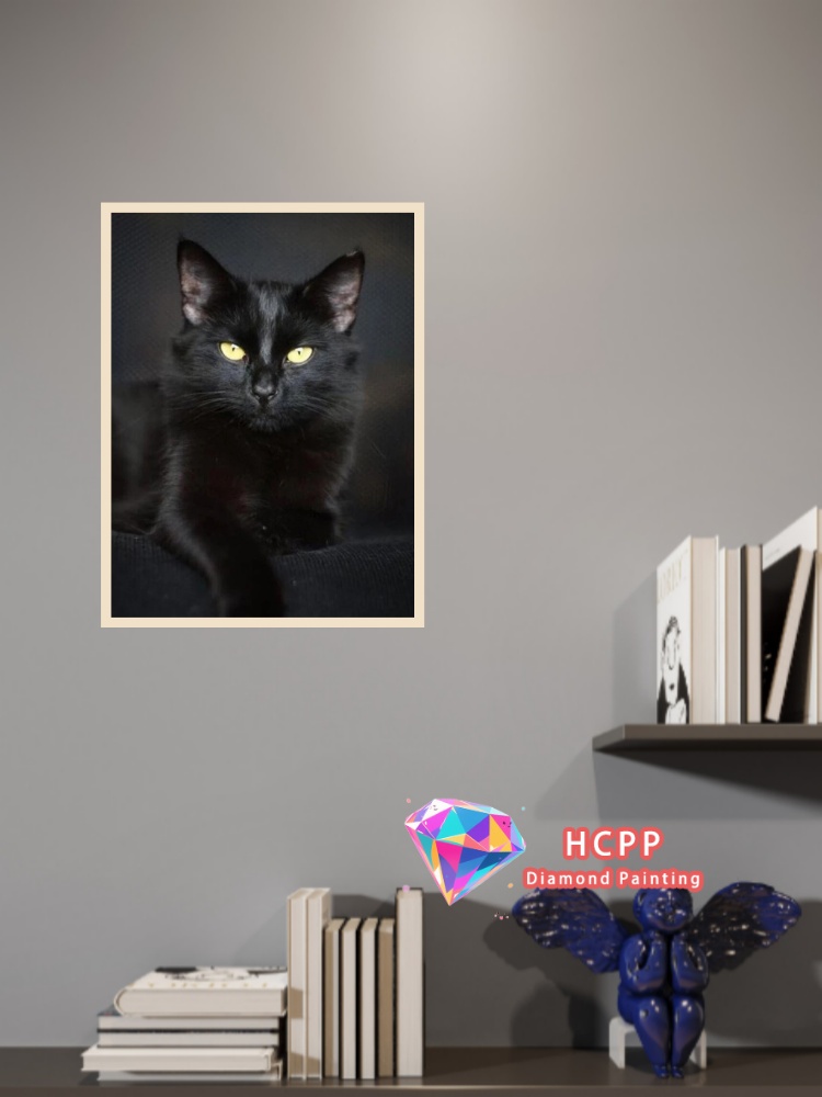 unframe Black Cat Animal Diamo - Art Craft Things 리뷰 및 가격
