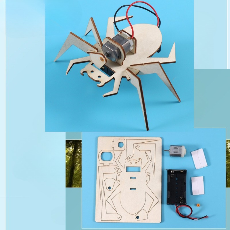 Spider 3D Puzzles STEM Science - Art And Craft Science 리뷰 및 가격