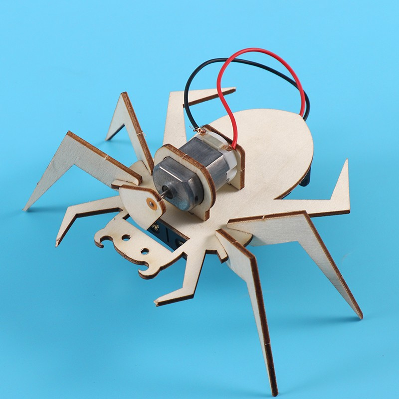 Spider 3D Puzzles STEM Science - Art And Craft Science 리뷰 및 가격