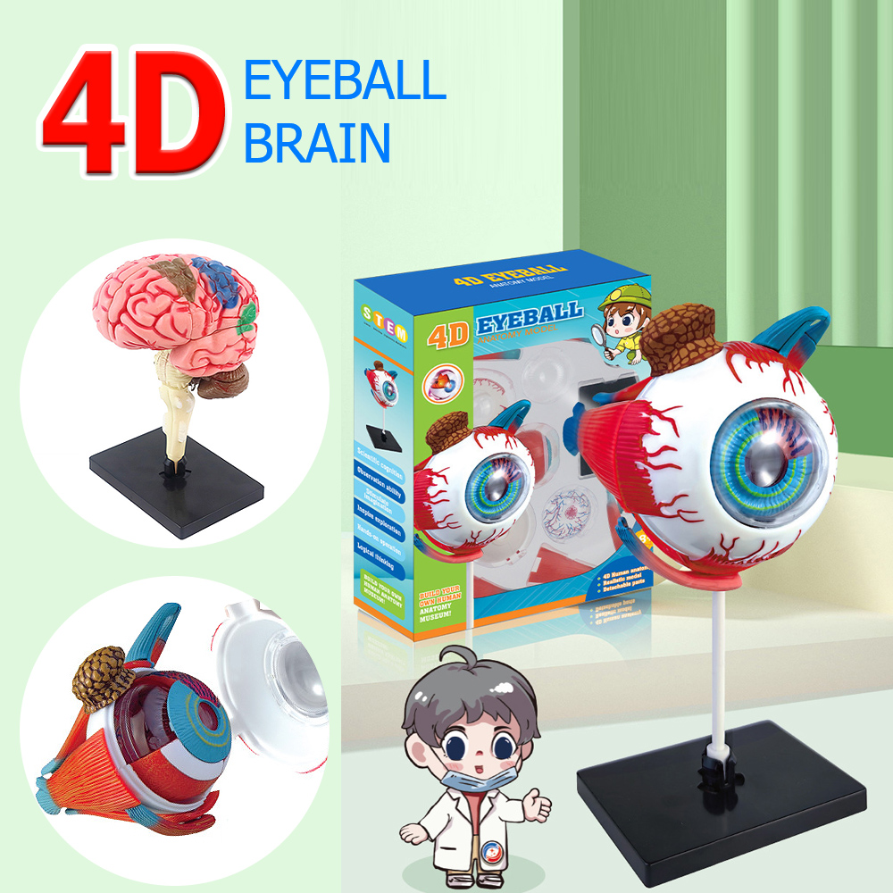 High Quality Arts Crafts Ornam - Art And Craft Science 리뷰 및 가격