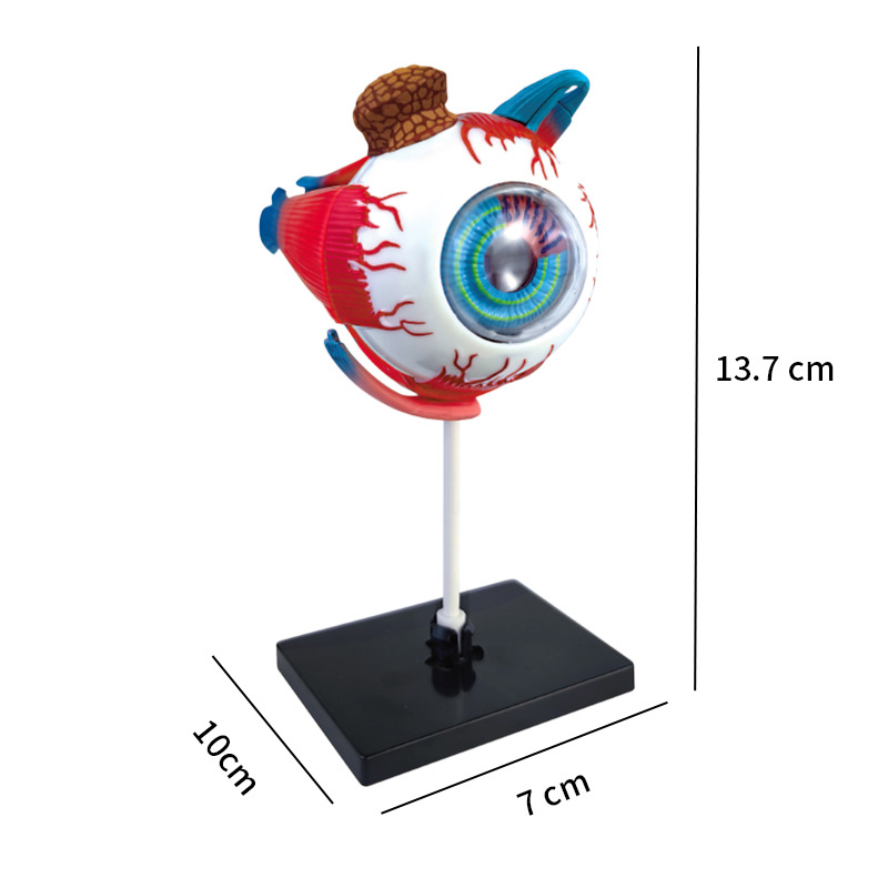 High Quality Arts Crafts Ornam - Art And Craft Science 리뷰 및 가격