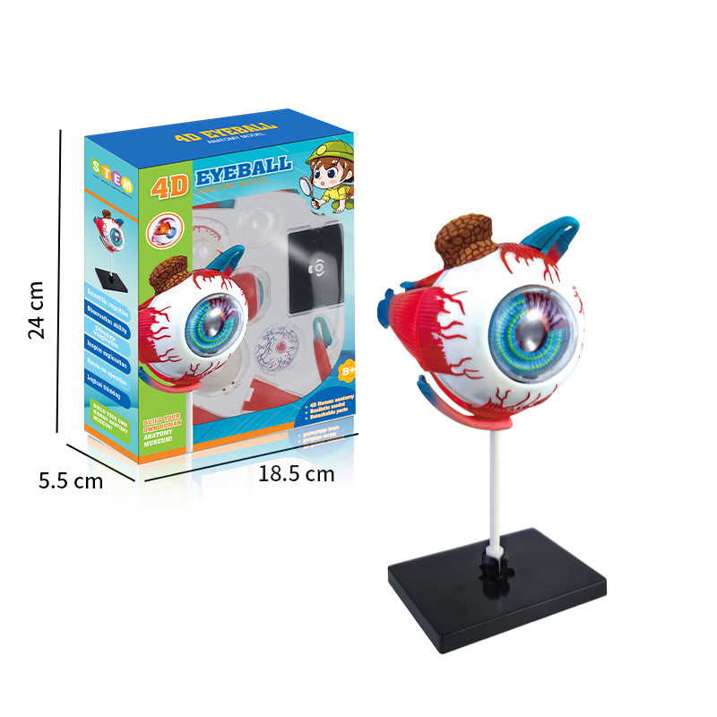 High Quality Arts Crafts Ornam - Art And Craft Science 리뷰 및 가격