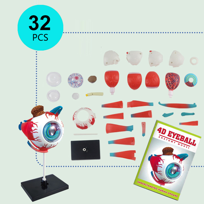 High Quality Arts Crafts Ornam - Art And Craft Science 리뷰 및 가격