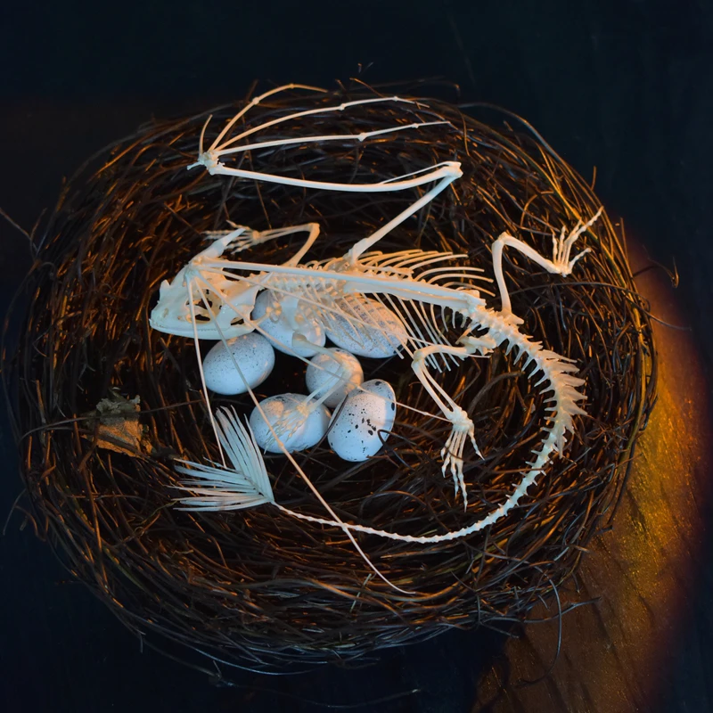 2125 Toothless Dragon Skeleton - Art And Craft Science 리뷰 및 가격