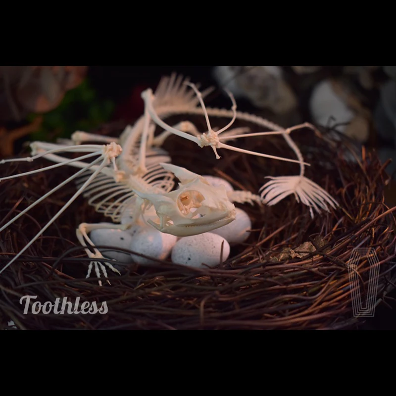 2125 Toothless Dragon Skeleton - Art And Craft Science 리뷰 및 가격