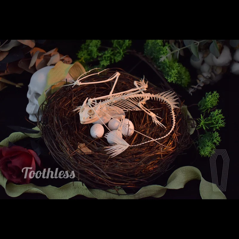 2125 Toothless Dragon Skeleton - Art And Craft Science 리뷰 및 가격